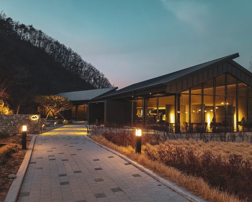 brown wooden building near trees during night time